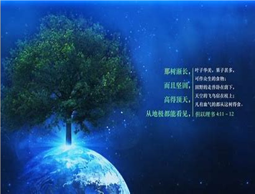 知道神掌权 Ⅰ 杨牧师