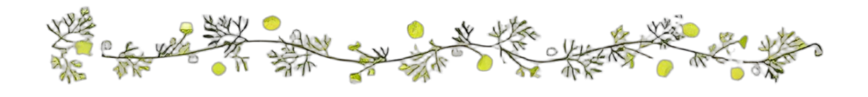 以惩戒维护教会圣洁｜黄俊杰传道