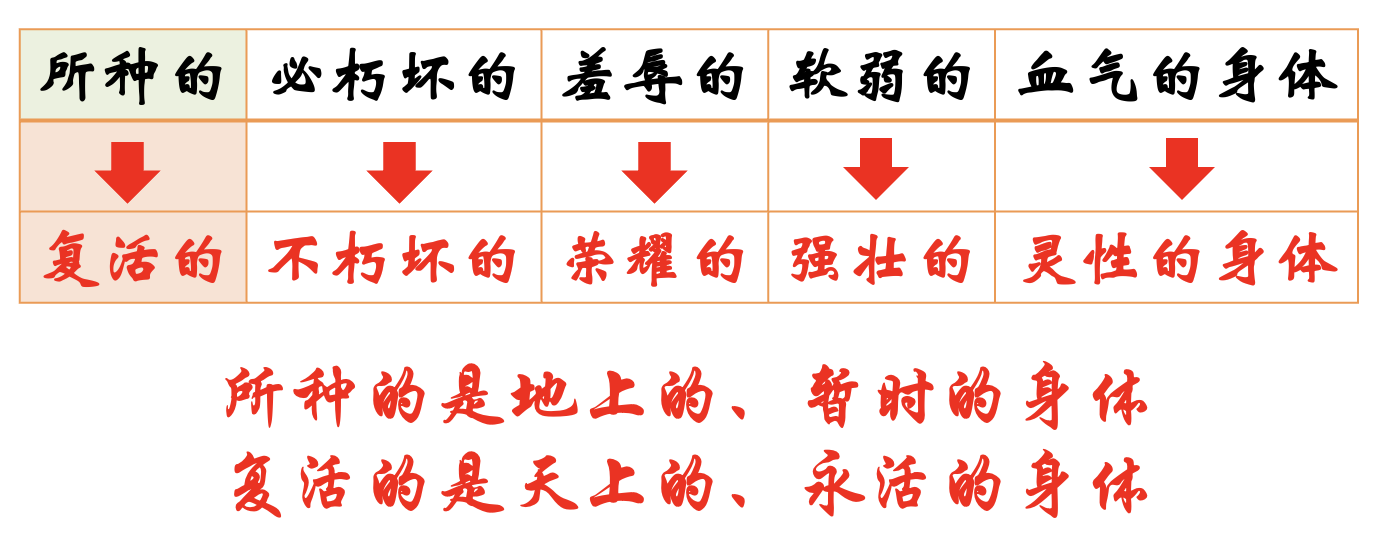 奇妙的复活|黄俊杰长老
